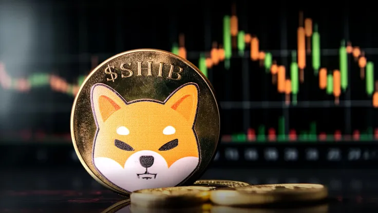 Shiba Inu (SHIB) to Reach $0.00003 If This Pattern Plays Out