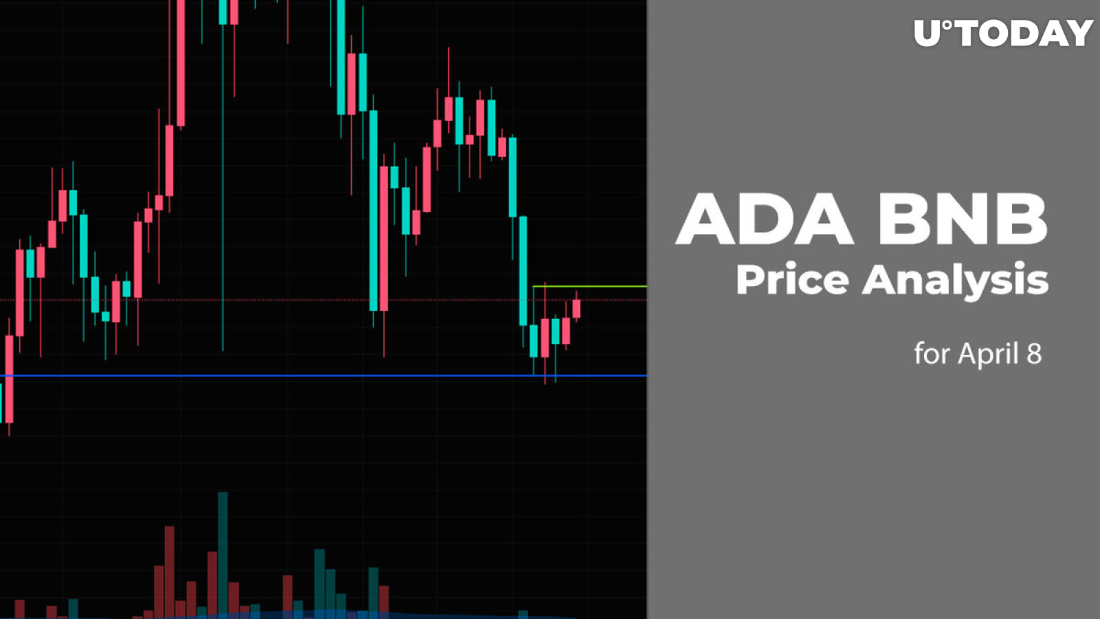 ADA and BNB Price Prediction for April 8