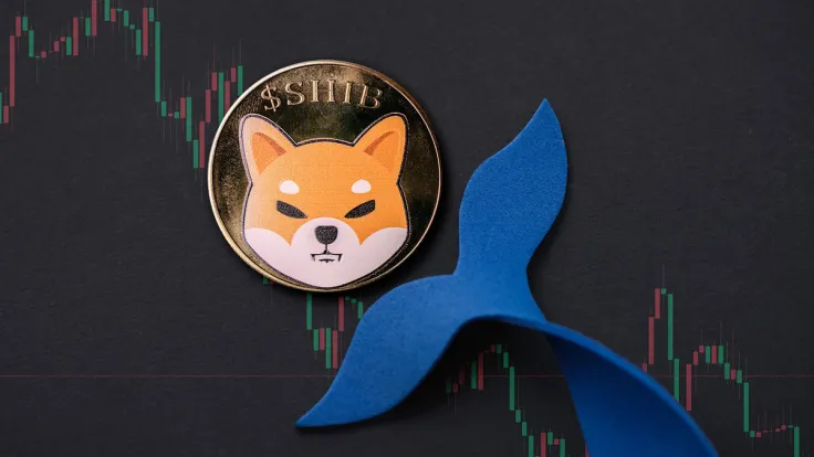 Shiba Inu (SHIB) Whales Disappear: Enormous Plunge 