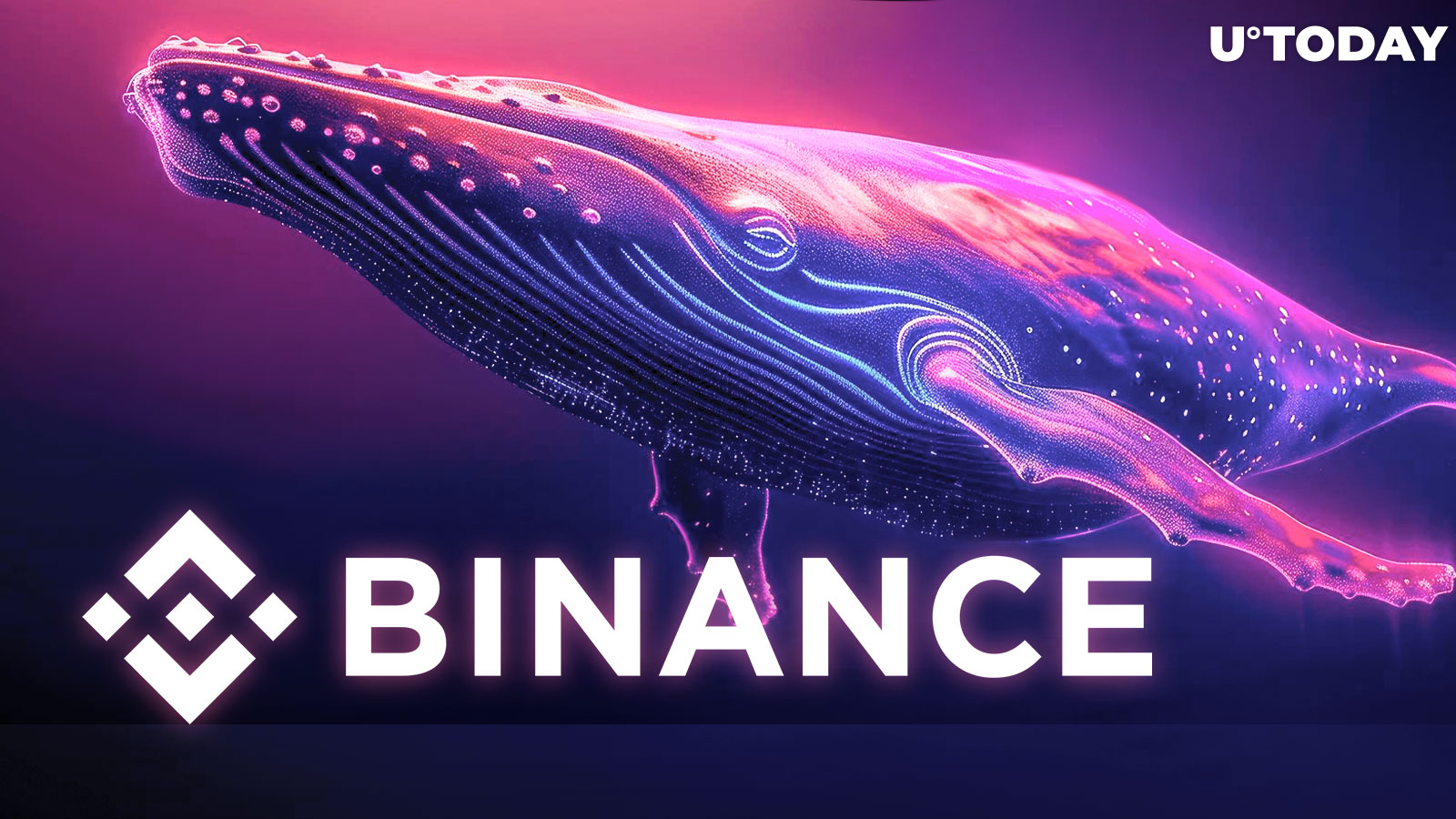 Mega Whale Withdraws $53 Million Worth of Bitcoin from Binance