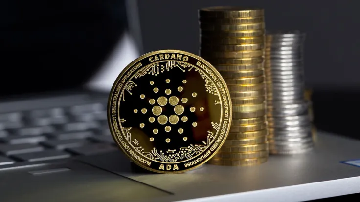 Cardano (ADA) Wallet Activity Declines, Cause for Concern?