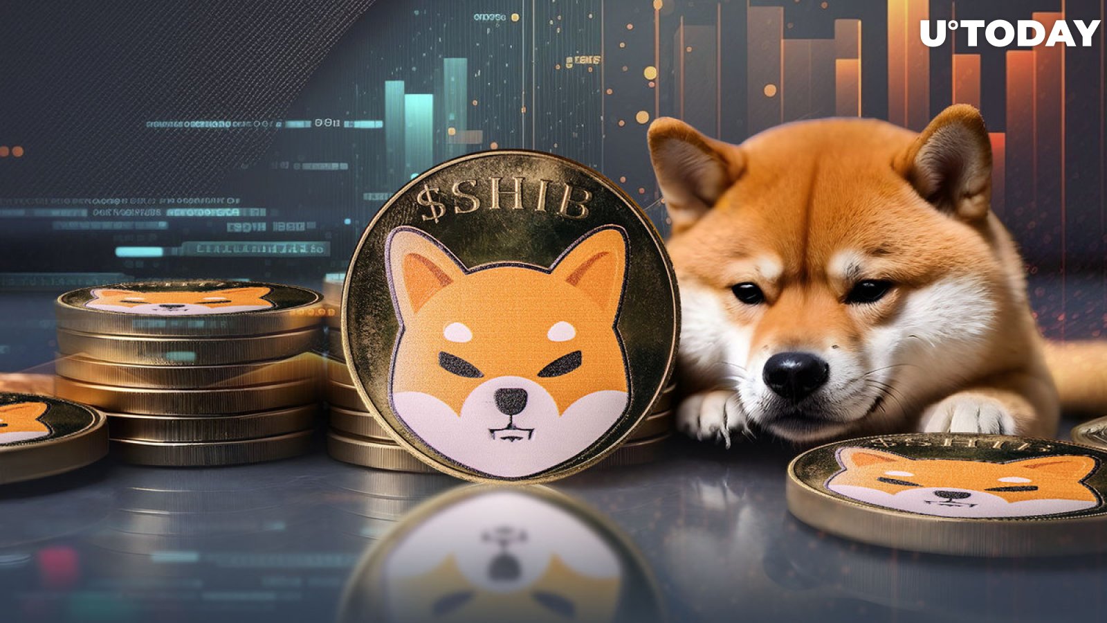 Shiba Inu Skyrockets 1,590% in Key Metric as Whales Dive in to Save SHIB Price