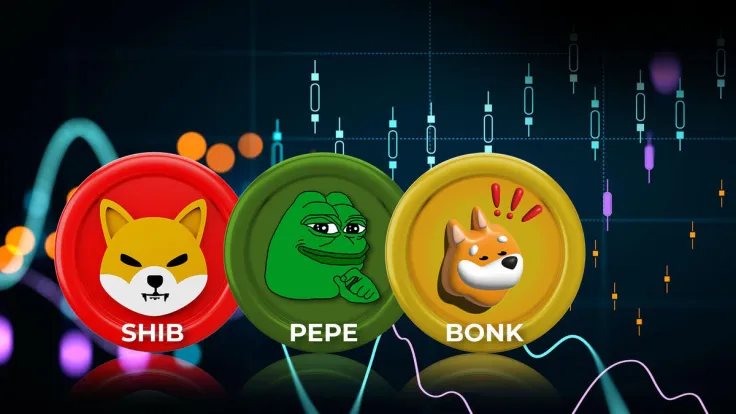 SHIB, PEPE, FLOKI, BONK: Meme Coins Amid Best Performers