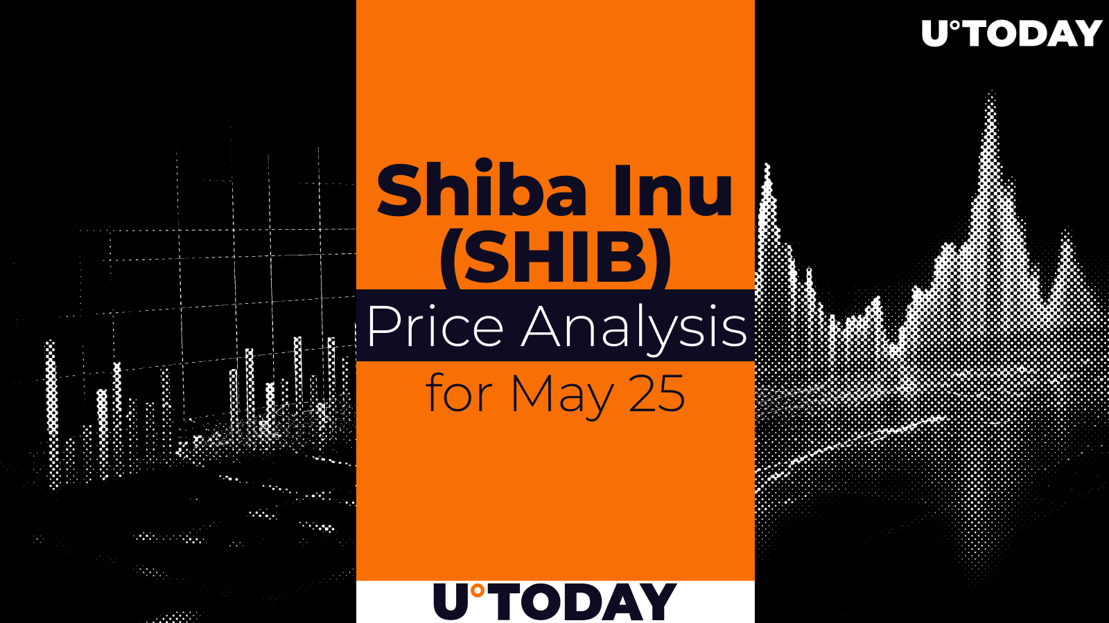 SHIB Price Prediction for May 25
