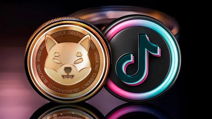 Viral SHIB TikTok Video Shared by Shiba Inu Rep