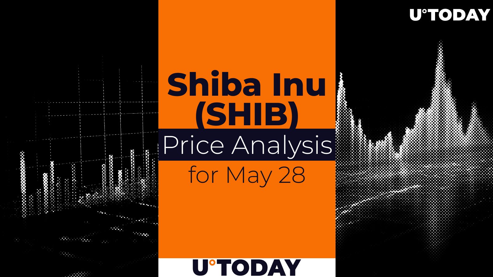 SHIB Price Prediction for May 28