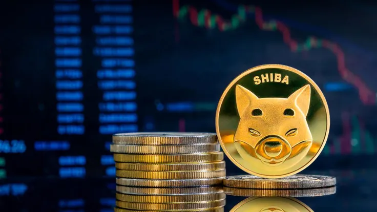 75 Billion Shiba Inu in 24 Hours, What's Happening?