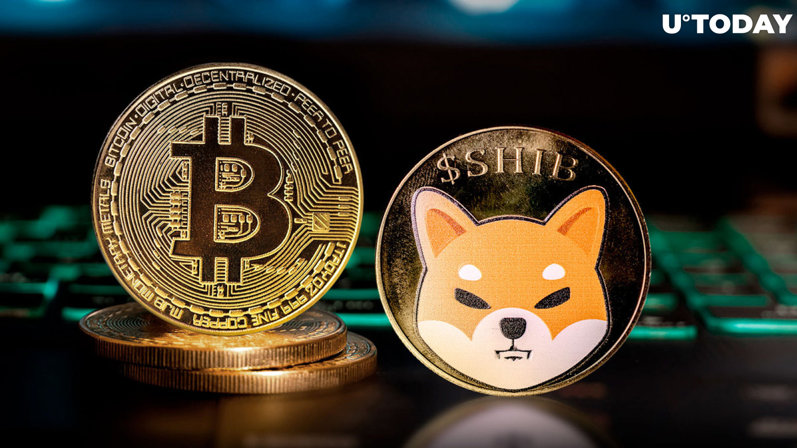 SHIB Exec Shares Crucial Shiba Inu and Bitcoin Message to Community