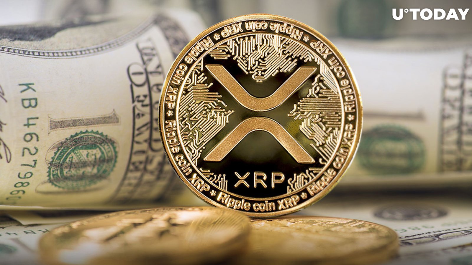 XRP Alert: 19 Million Tokens Move as Market Holds Breath