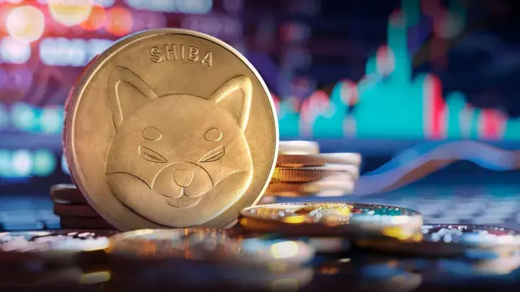 Shiba Inu (SHIB) Witnesses Epic 1,510% Growth of Key Metric, But There's a Catch