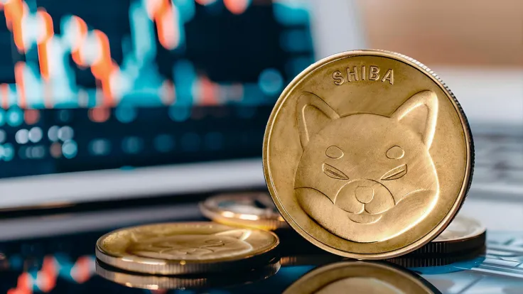Shiba Inu (SHIB) Surges 3,015% in NetFlow Spike, but There's Catch