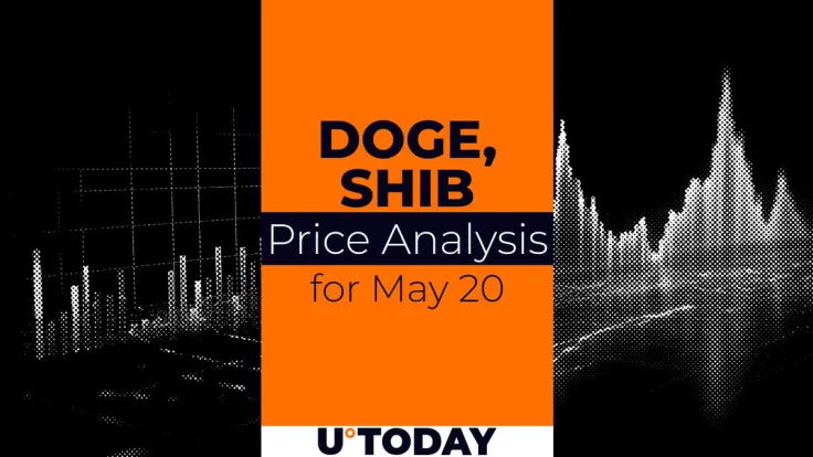DOGE and SHIB Price Prediction for May 20
