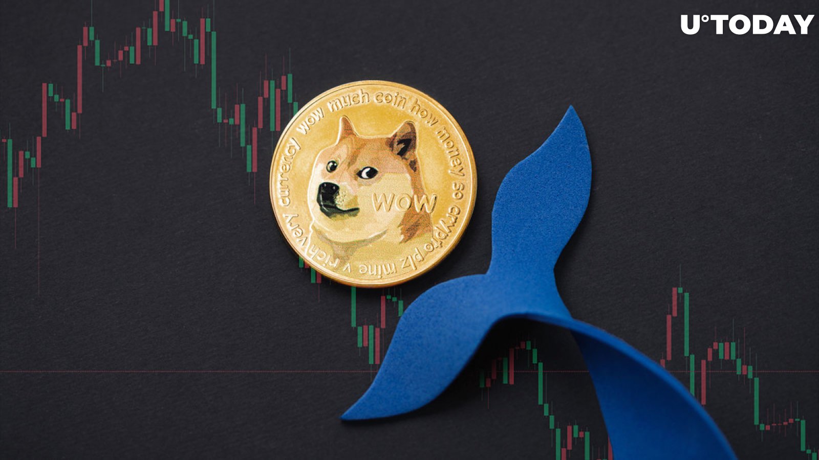 Dogecoin Whales Disappear After DOGE Meme Dog Kabosu's Passing