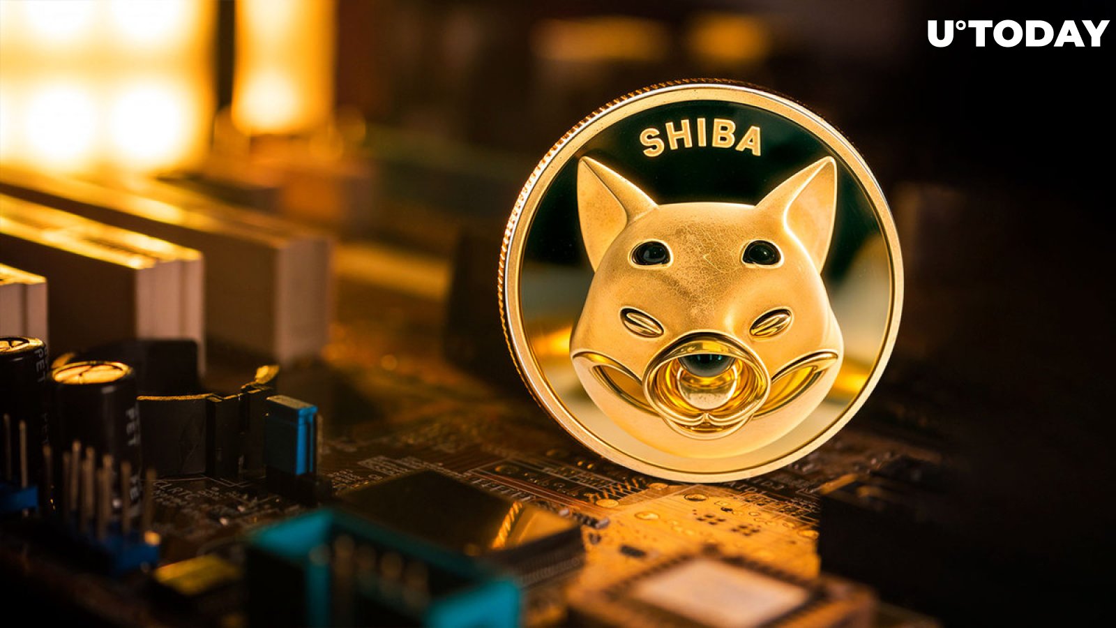 Sharp Warning to SHIB Haters Issued by Shiba Inu Team