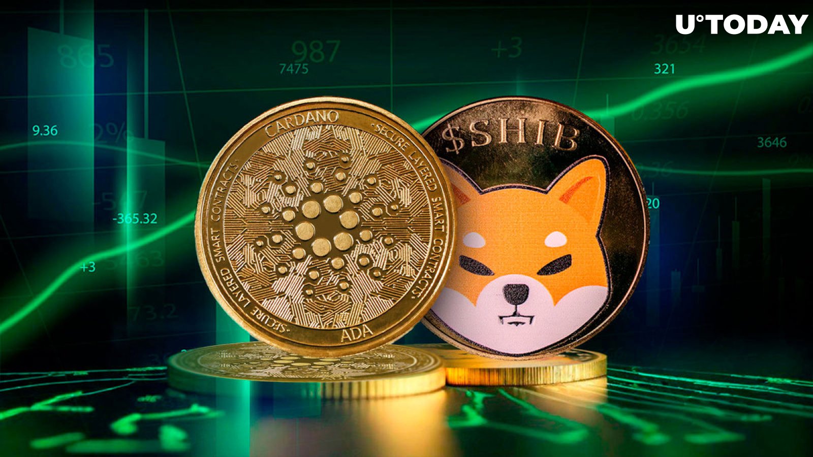 Shiba Inu (SHIB) and Cardano Explode With Whale Activity