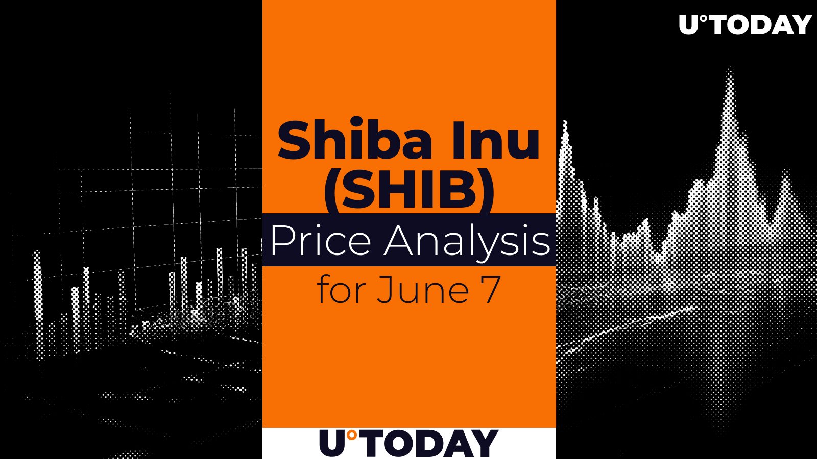 SHIB Price Prediction for June 7