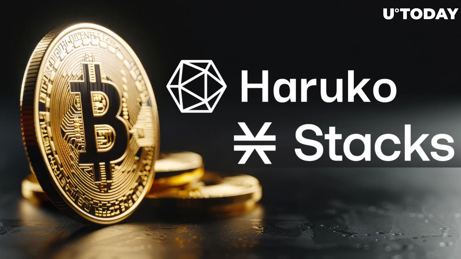 Haruko to Streamline Bitcoin Asset Management With Stacks Integration
