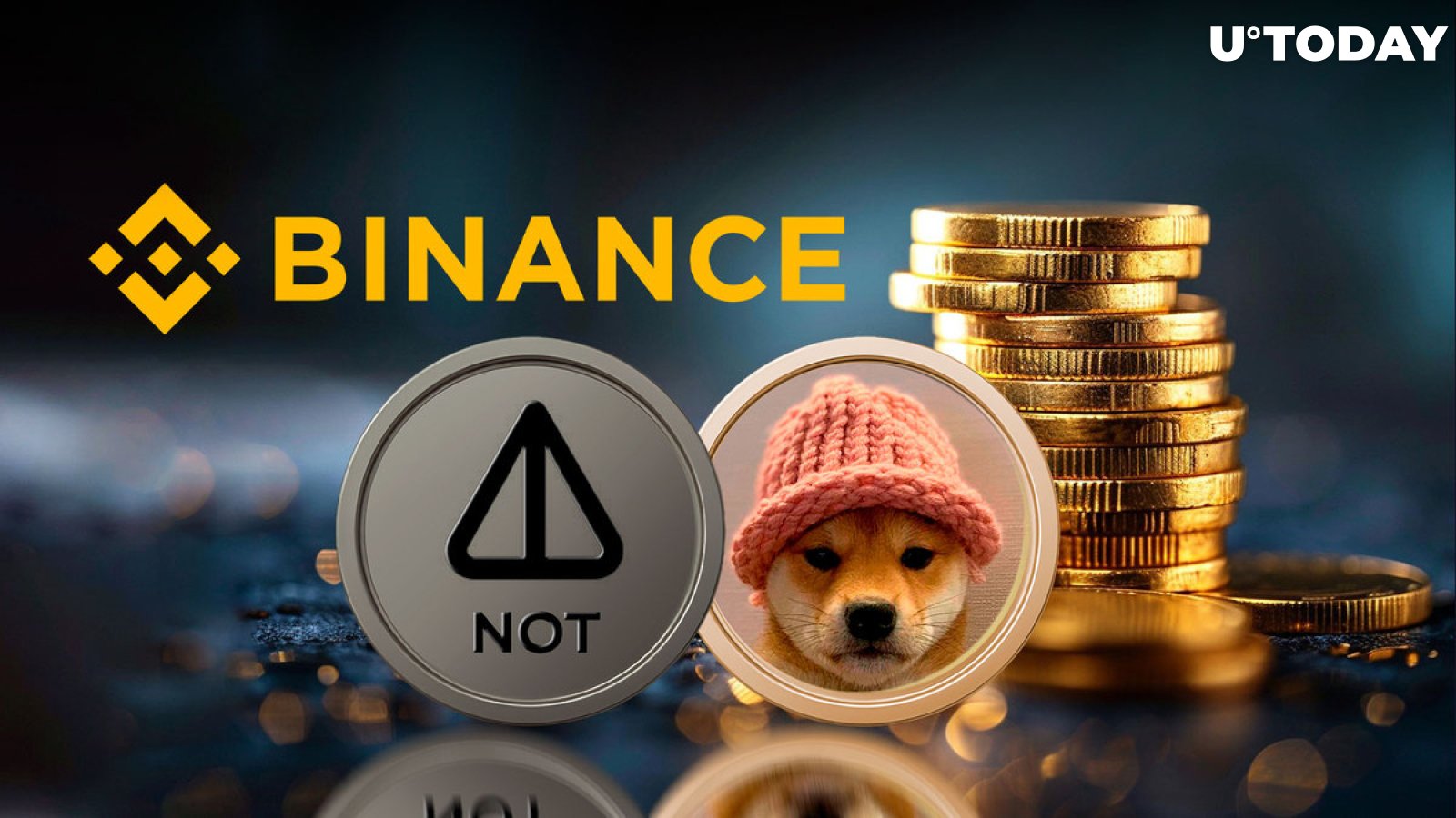 Binance Announces Major New Notcoin (NOT) and Dogwifhat (WIF) Listings