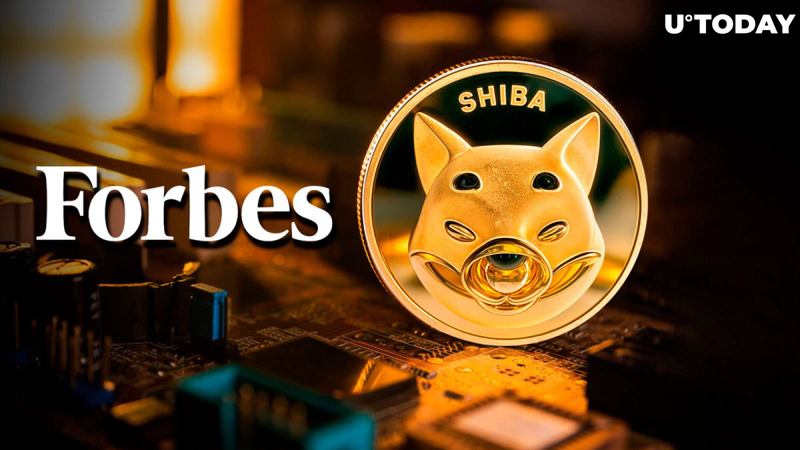 SHIB Praised by Forbes as "Beyond Cute," Shiba Inu Executive Reacts