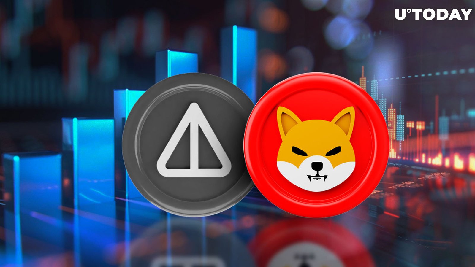 Notcoin (NOT) Overtakes SHIB in Top Ranks as SHIB Volume Drops Dramatically
