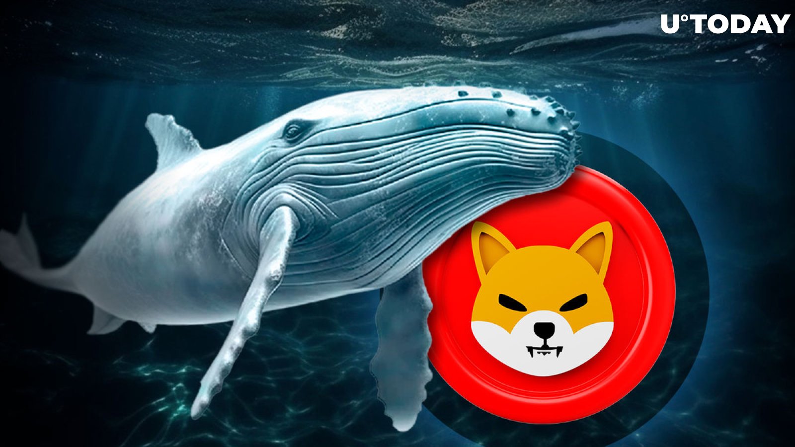 Shiba Inu Activity Jumps 295% as Whales Dive in to Save SHIB's Crucial Support