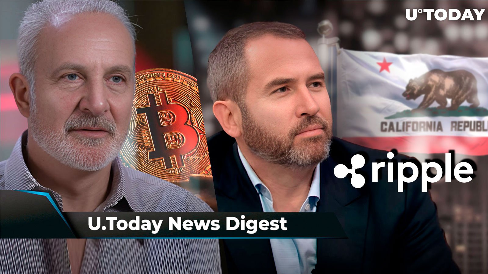 Peter Schiff Issues Gloomy BTC Price Prediction, Ripple CEO Hails 'Big Win' in California, SHIB Burn Rate Surges 2,682% With No Price Momentum: Crypto News Digest by U.Today