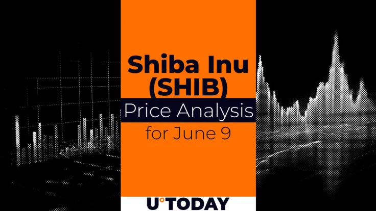 SHIB Price Prediction for June 9