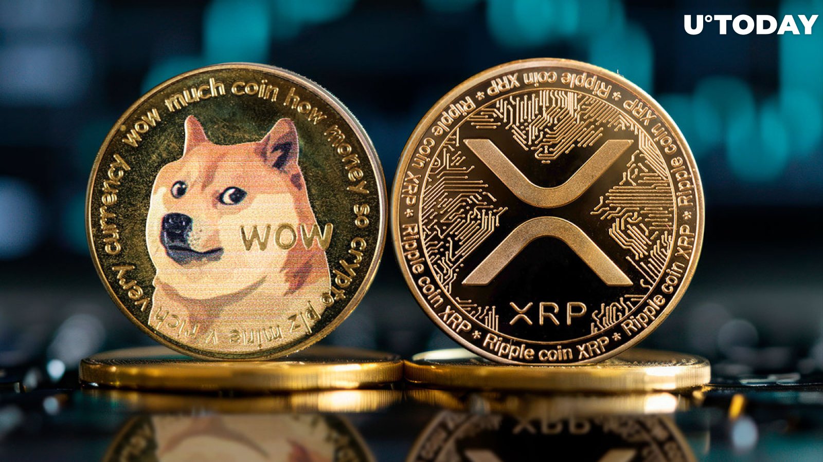 XRP vs. Dogecoin: Who Tops Market?