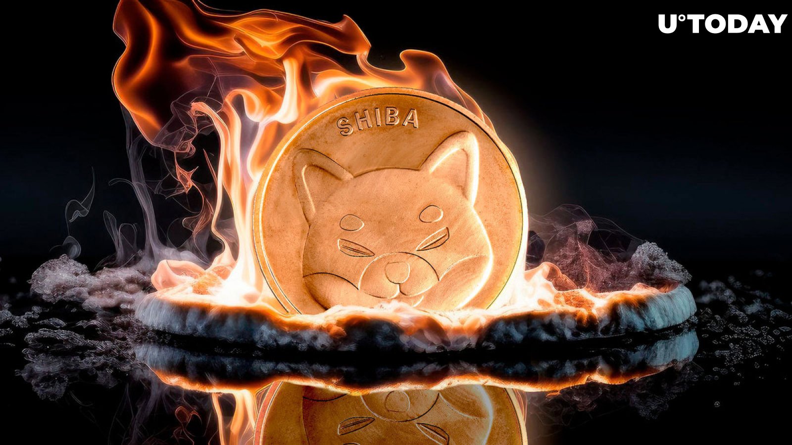 Shiba Inu (SHIB) Skyrockets 2,682% With No Price Momentum