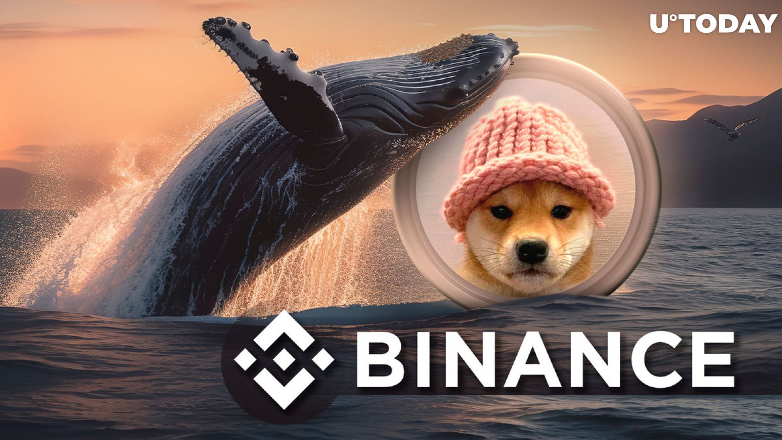 Binance Receives 12.66 Million WIF in Whale Moves as Dogwifhat Drops 30%