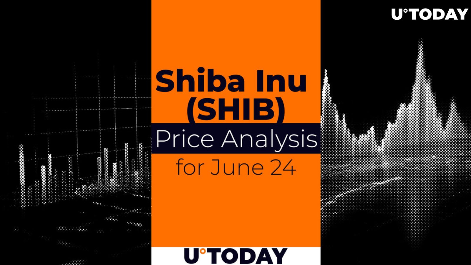 SHIB Price Prediction for June 24