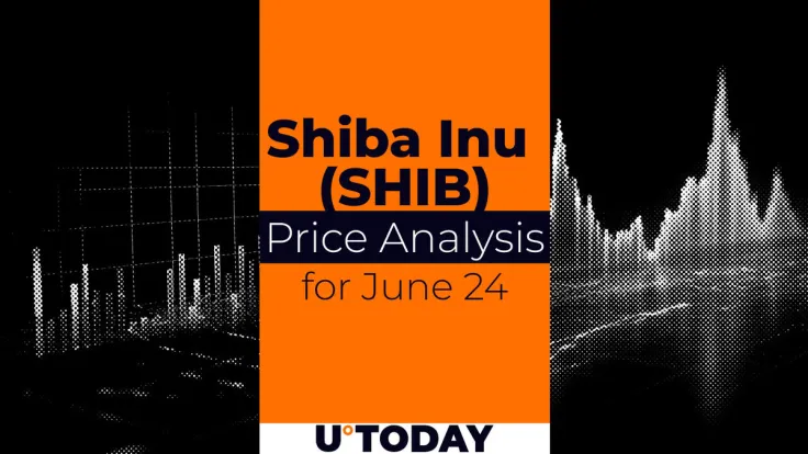SHIB Price Prediction for June 24