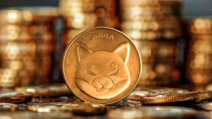 6.43 Trillion Shiba Inu (SHIB) in 24 Hours: What Happened?