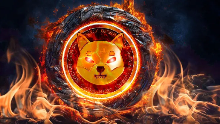SHIB Burns – 'Something Special Cooking Up,' Shib Executive Teases: Details