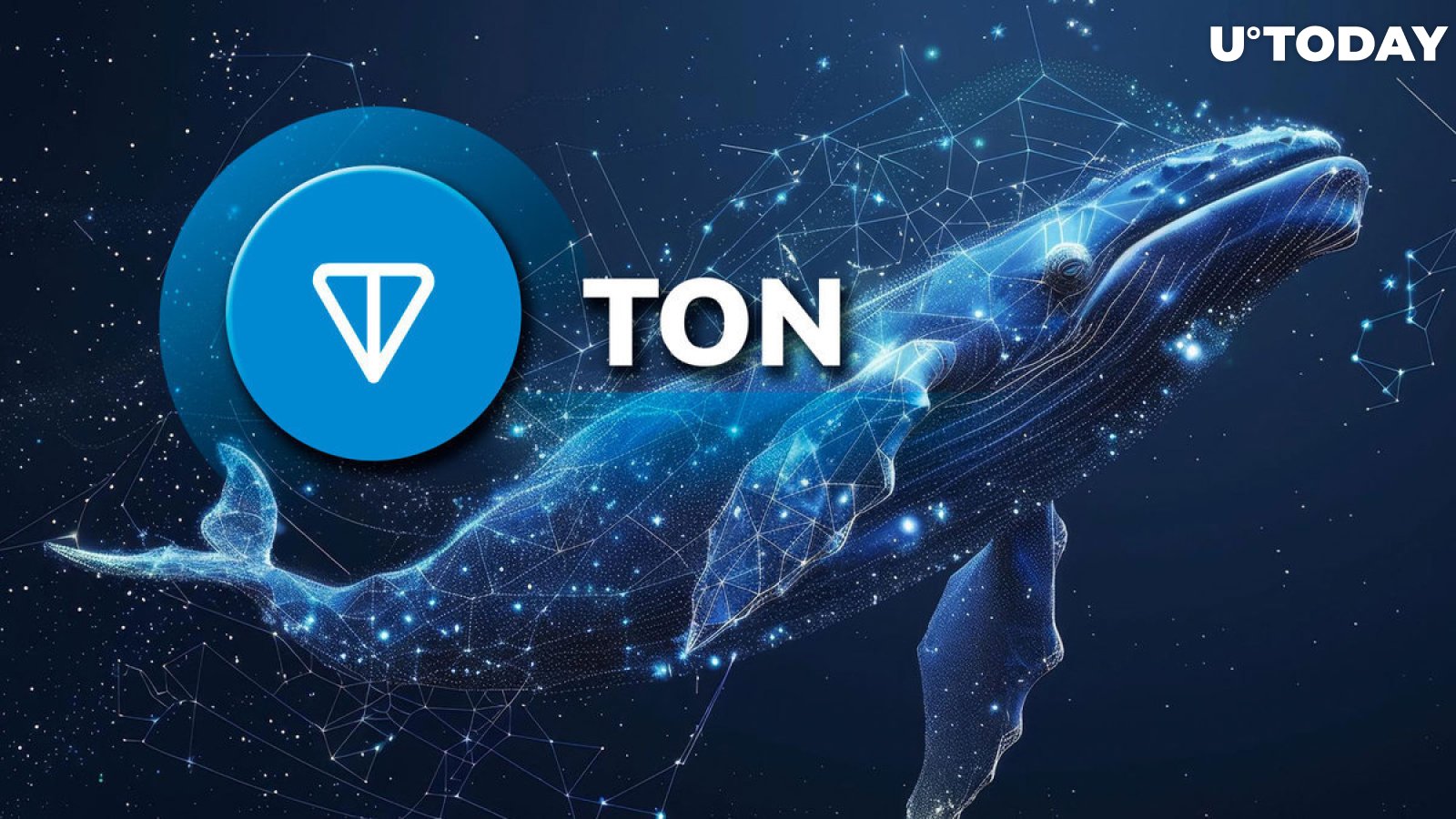 TON Surges 983% in Key Whale Metric as Market Faces Uncertainty