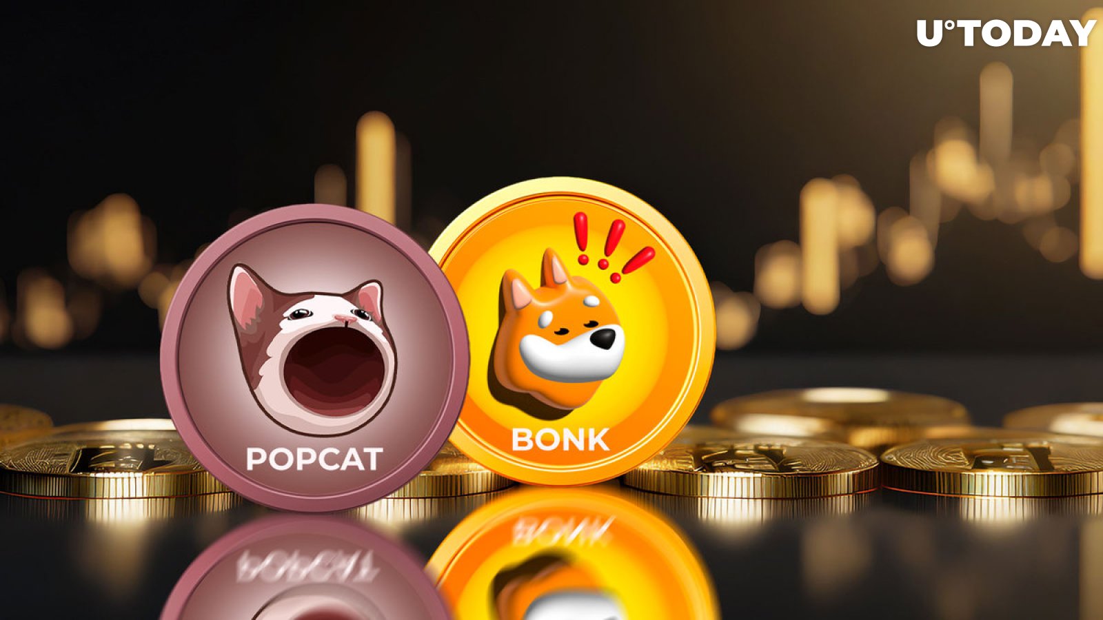 Meme Coins POPCAT, BONK on Fire With Double-Digit Gains Overnight
