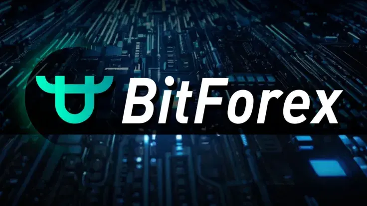 BitForex Team Finally Breaks Silence After Five Months of Shutdown: What's Next?
