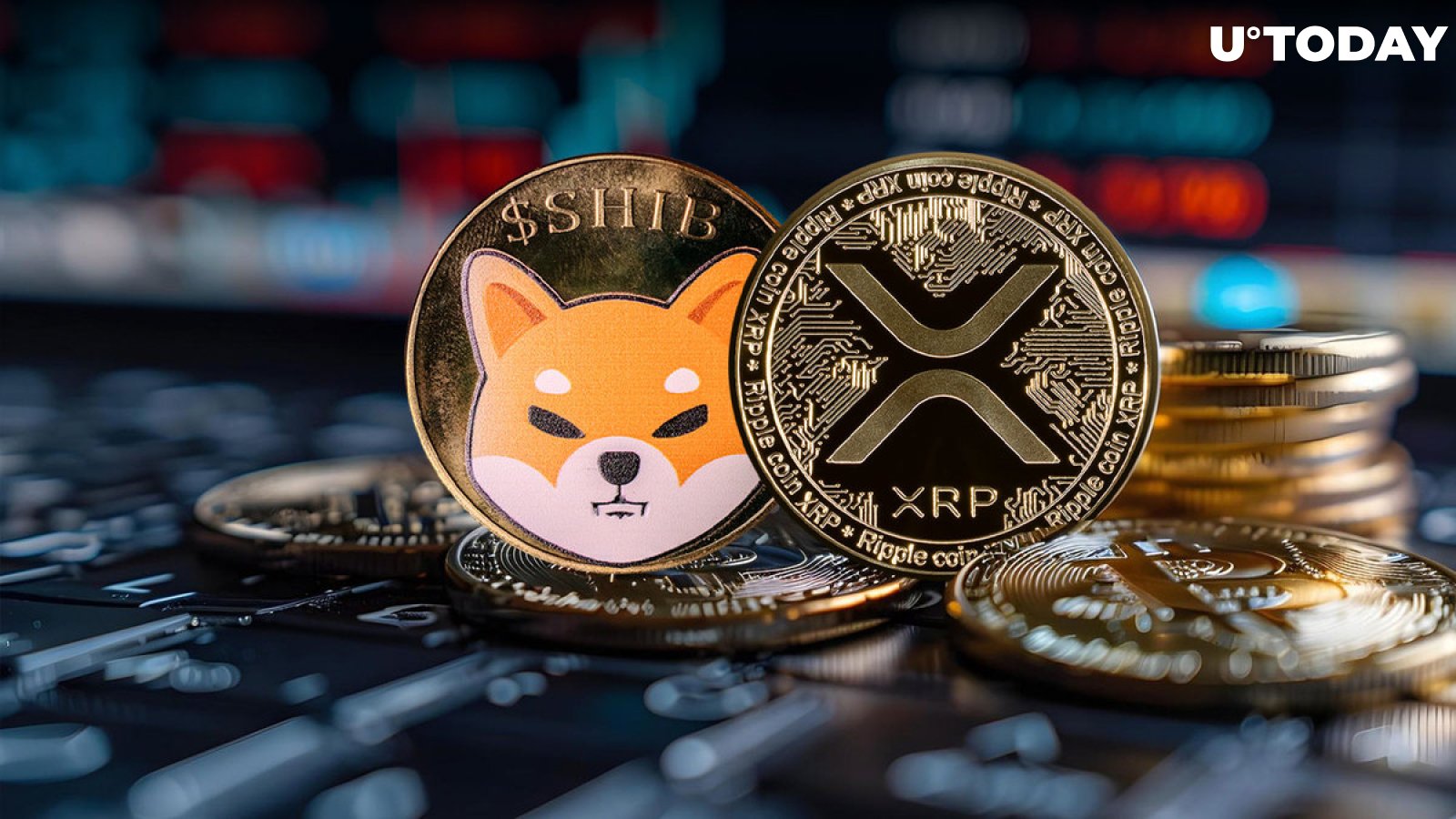 XRP and Shiba Inu (SHIB) Holders Suffer, But Here’s Why It’s Bullish