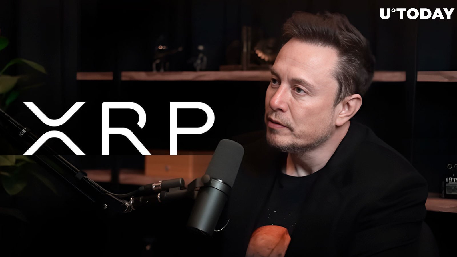 Elon Musk's New Tweet Stuns XRP Community