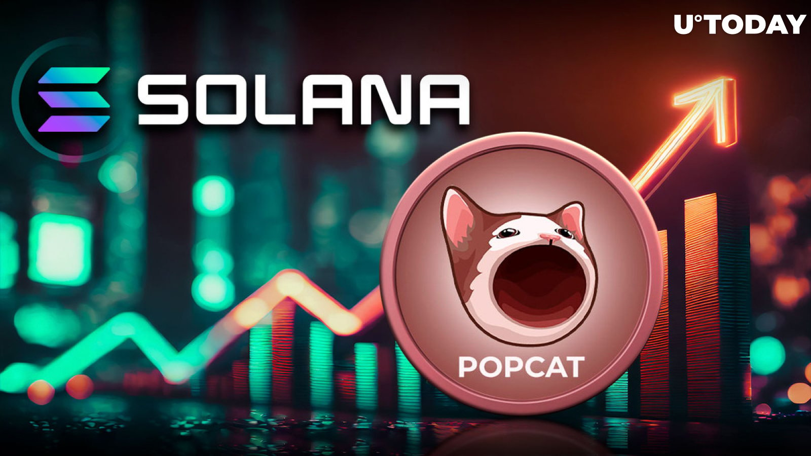 Solana Cat Meme Coin Surges 117%, but There Is Something You Need to Know