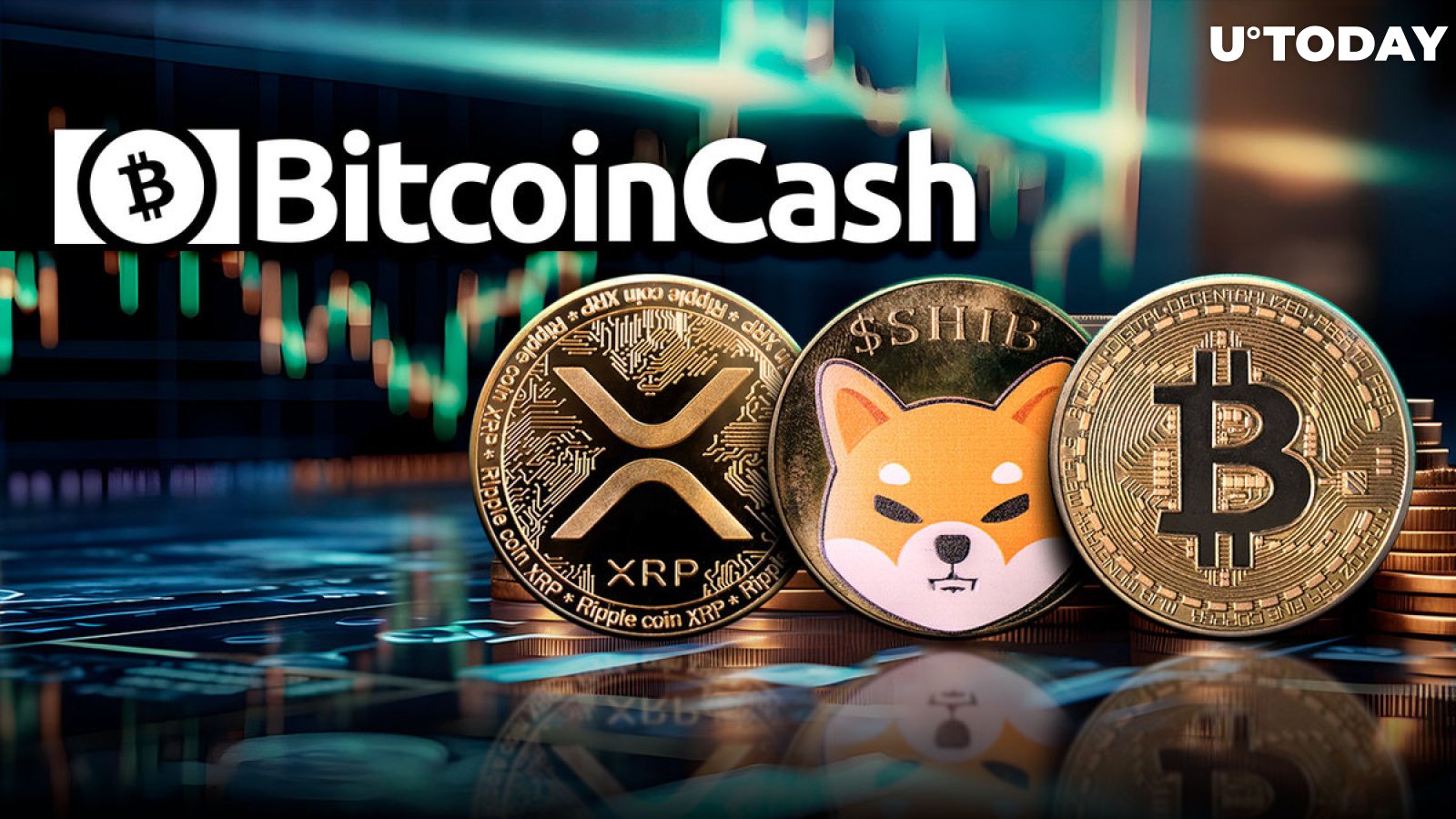 BTC, XRP and SHIB Outshined By 14% Bitcoin Cash (BCH) Surge