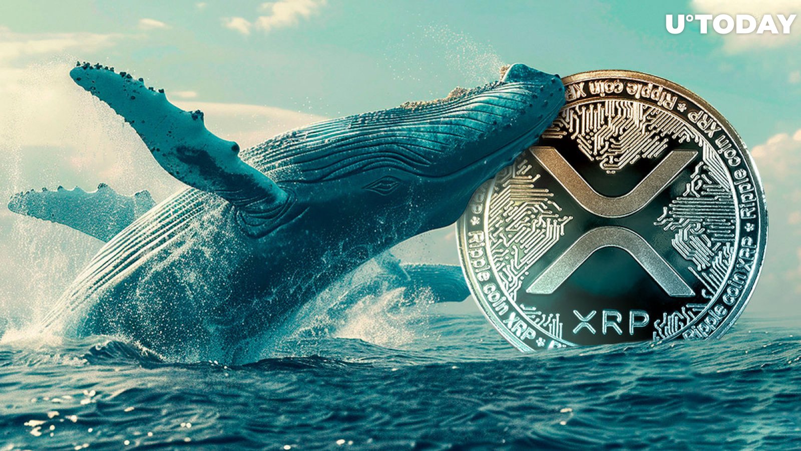 Extreme Surge in XRP Whales Spotted