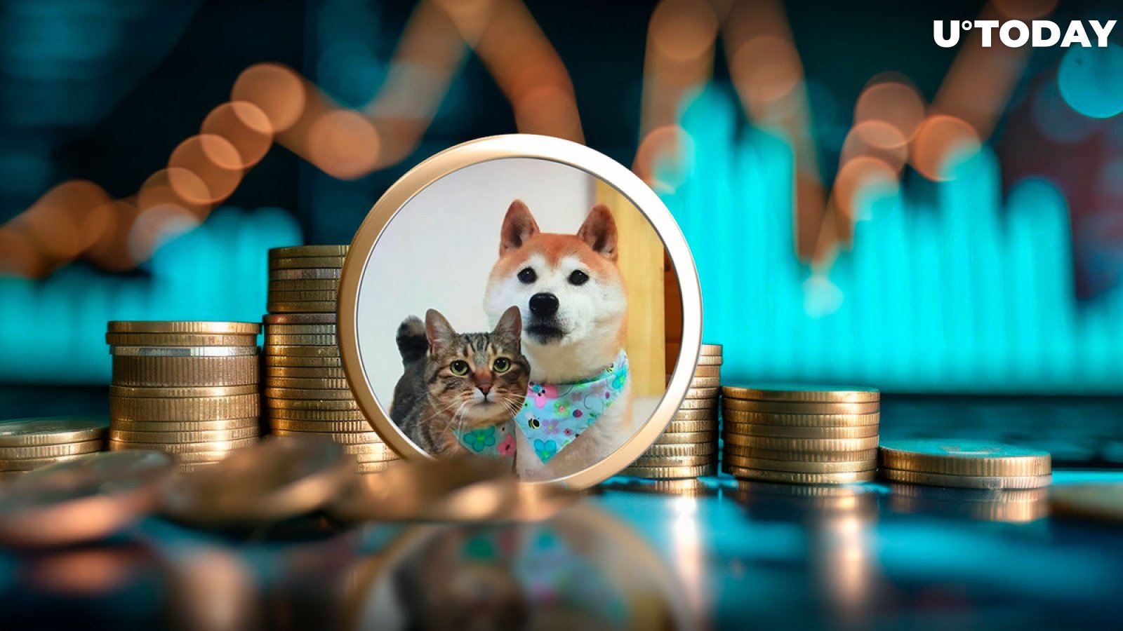 Cat of DOGE's Owner Skyrockets to $70 Million as Meme Coin