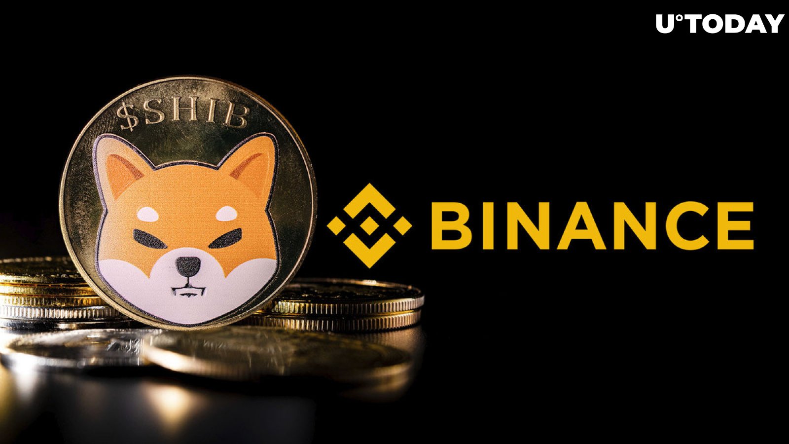 Binance's Shiba Inu (SHIB) Balances Continue to Drop