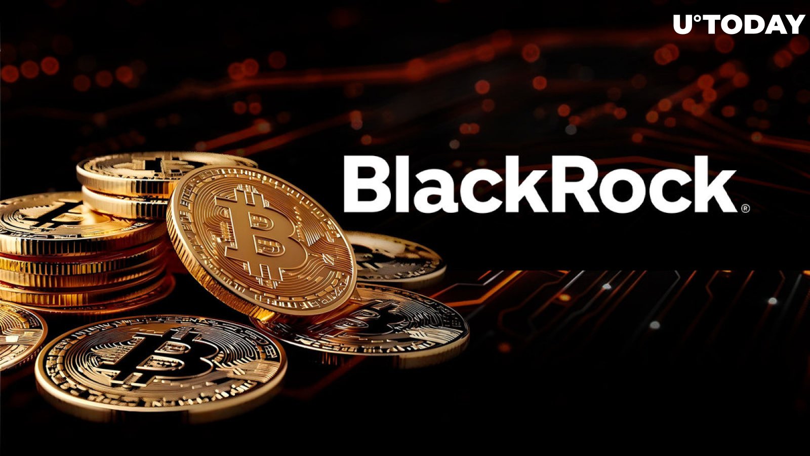 BlackRock Did Not Sell During Crypto Market Crash: Details