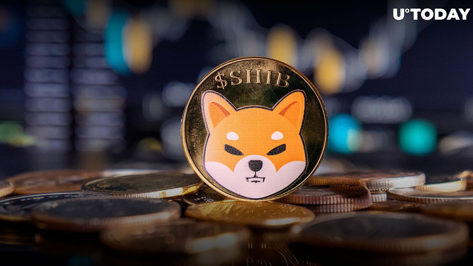 Shiba Inu (SHIB) Outperforms Ethereum (ETH) in 12 Months