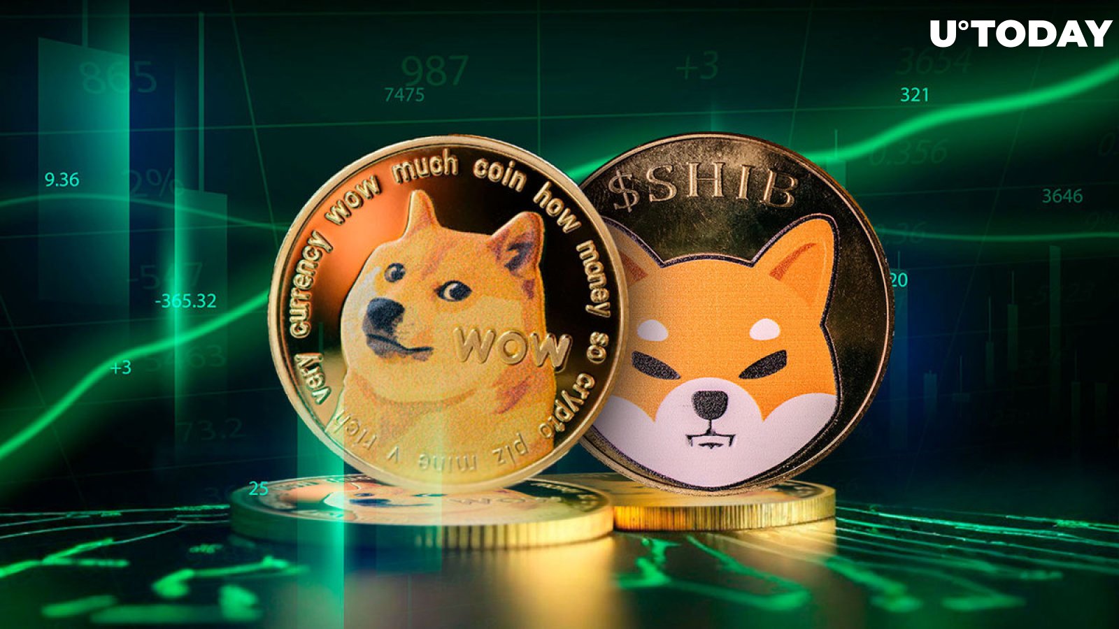 DOGE Surpasses SHIB and Rest of Meme Coins in Key Metric: Details