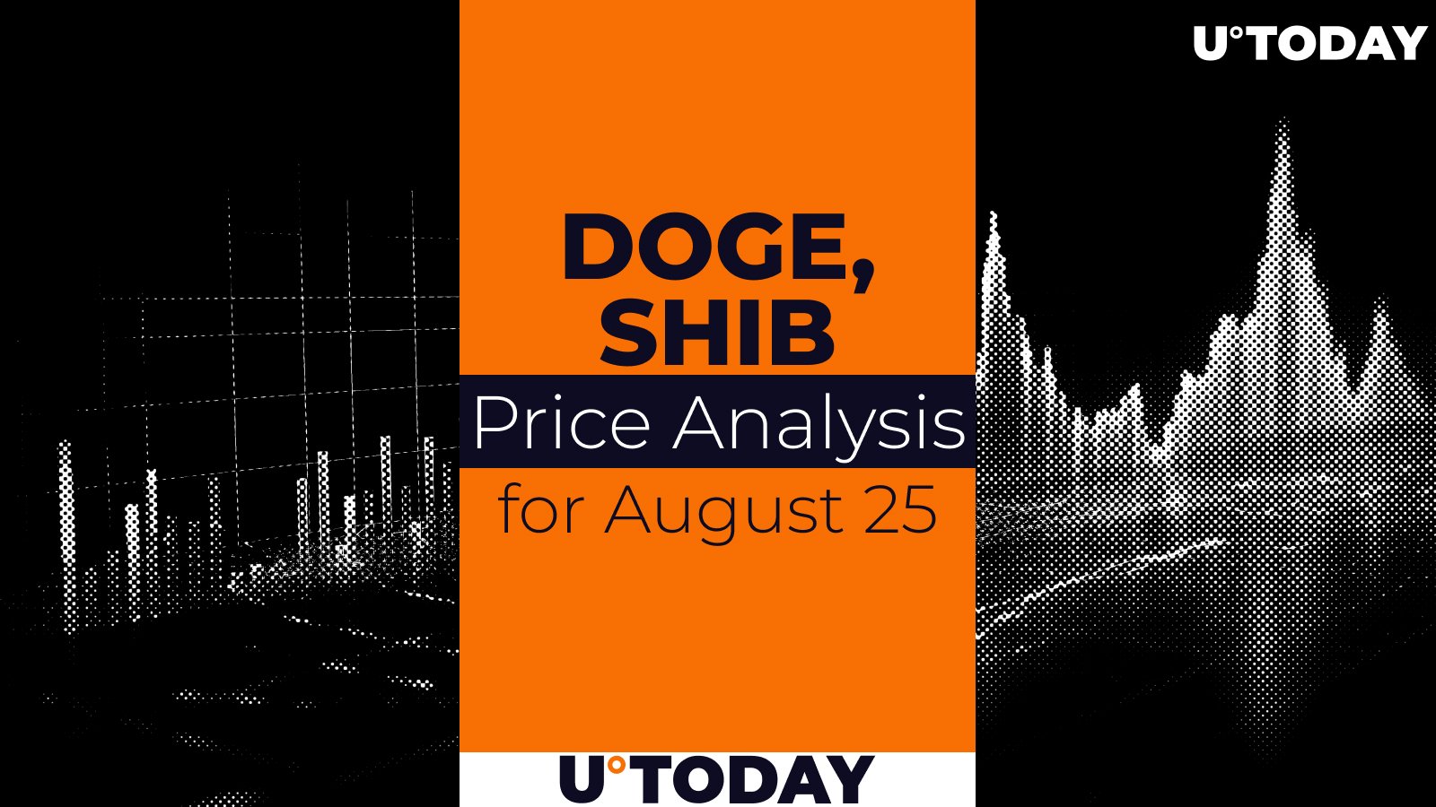 DOGE and SHIB Prediction for August 25