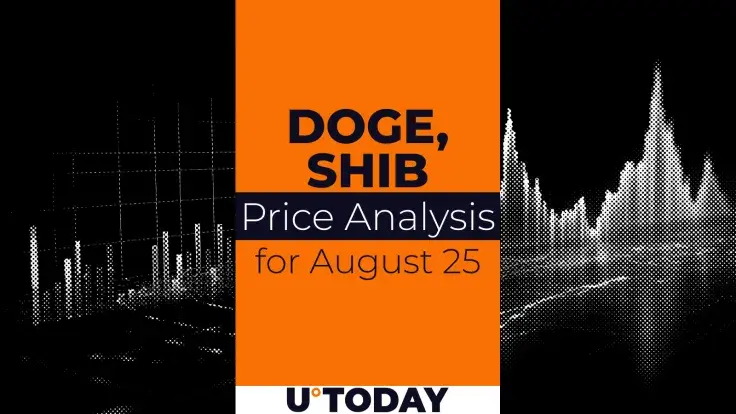 DOGE and SHIB Prediction for August 25