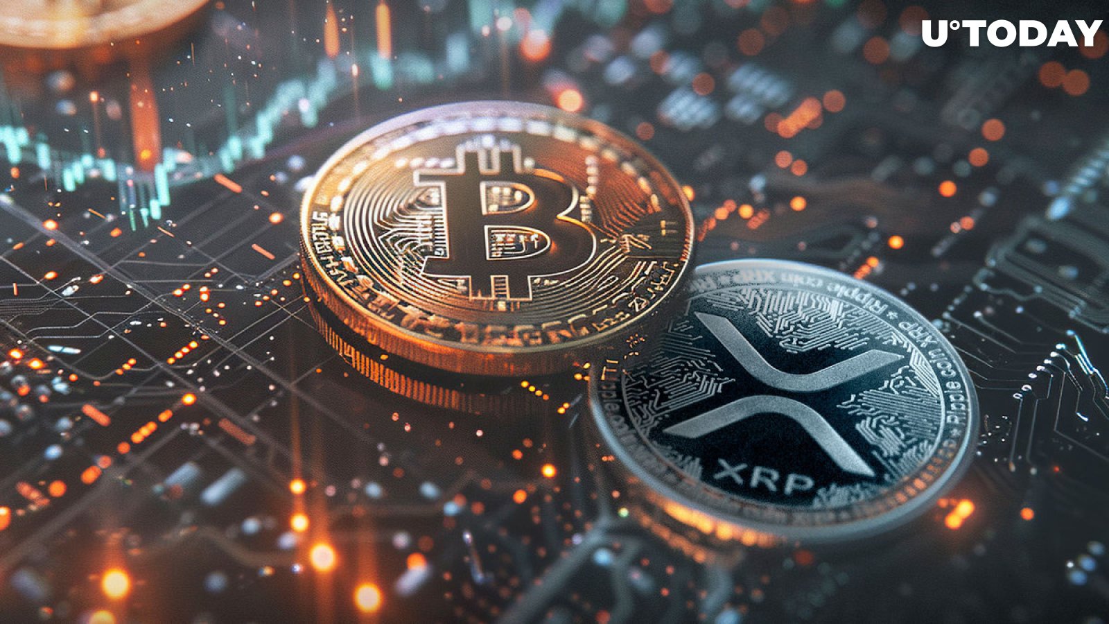 'All X Accounts with XRP Initials Will Disappear': Peter Brandt Issues XRP-to-Bitcoin Warning